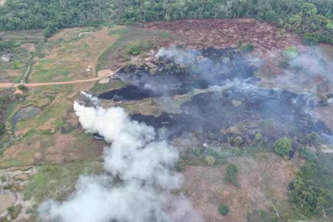incendios-no-am:-dono-de-terra-e-multado-em-r$-100-mil-por-queimar-50-pneus