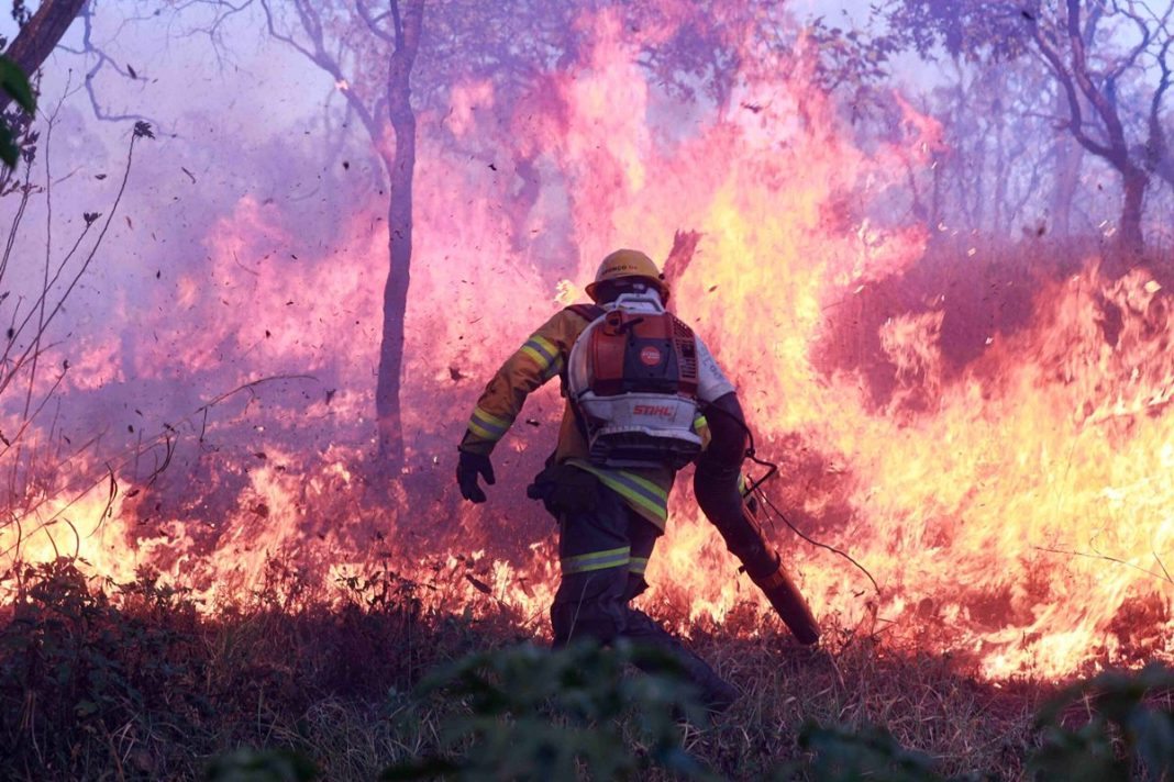 gdf-proibe-uso-de-fogo-em-vegetacao-pelo-alto-risco-de-incendios-florestais
