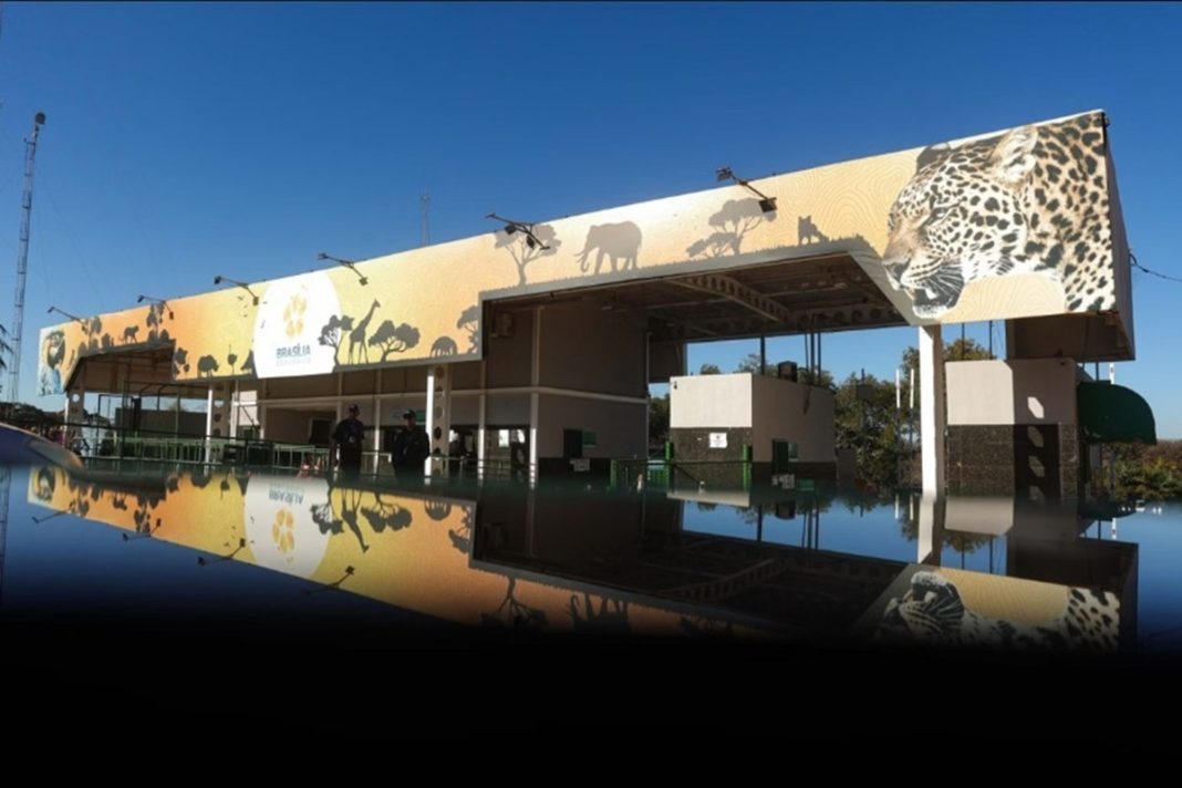crianca-de-5-anos-e-atacada-por-escorpiao-no-zoologico-de-brasilia