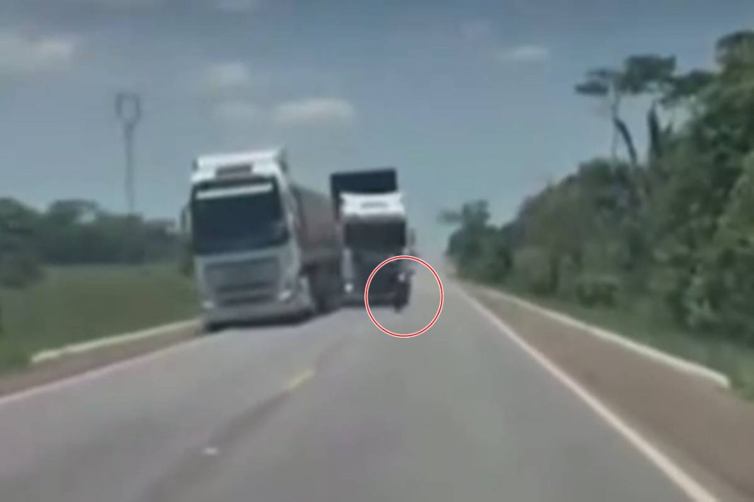 motociclista-morre-apos-fazer-zigue-zague-e-bater-de-frente-com-carreta