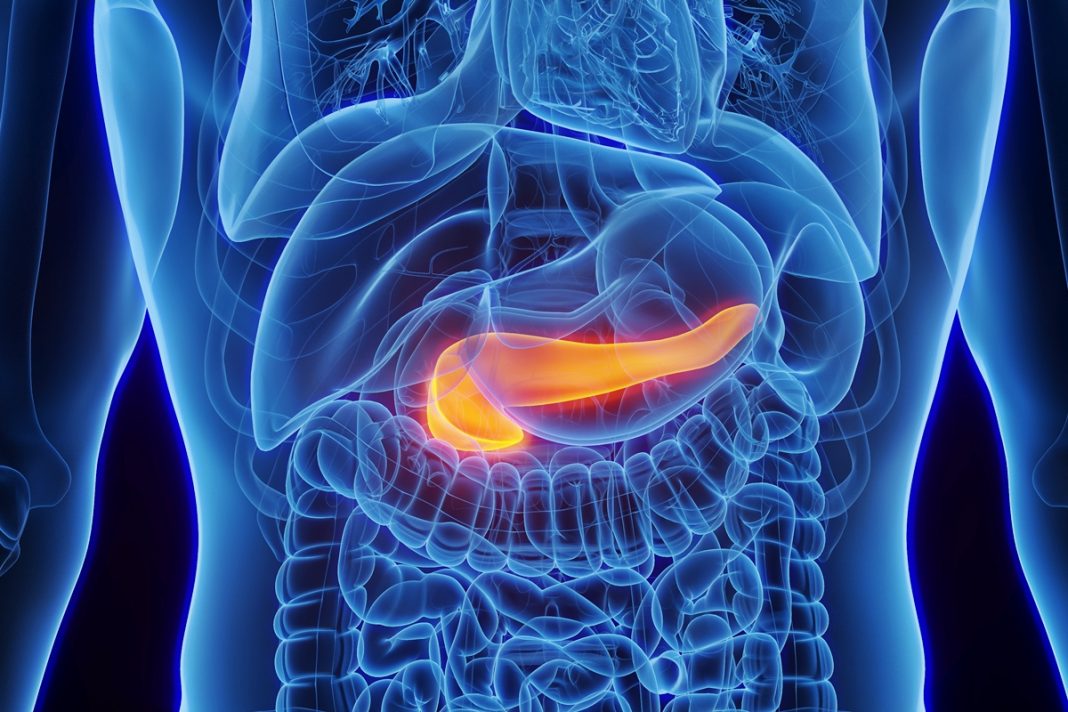 vacina-contra-cancer-de-pancreas-gera-resposta-imune-em-99%-dos-pacientes