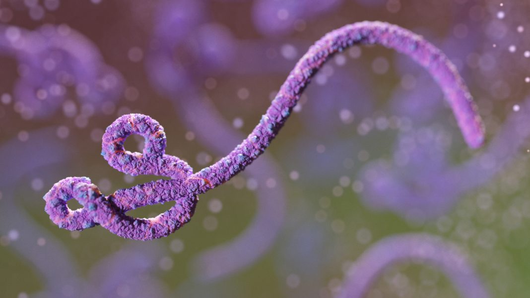 congo-inicia-testes-de-vacina-em-meio-ao-surto-da-especie-mais-letal-ja-registrado-do-ebola