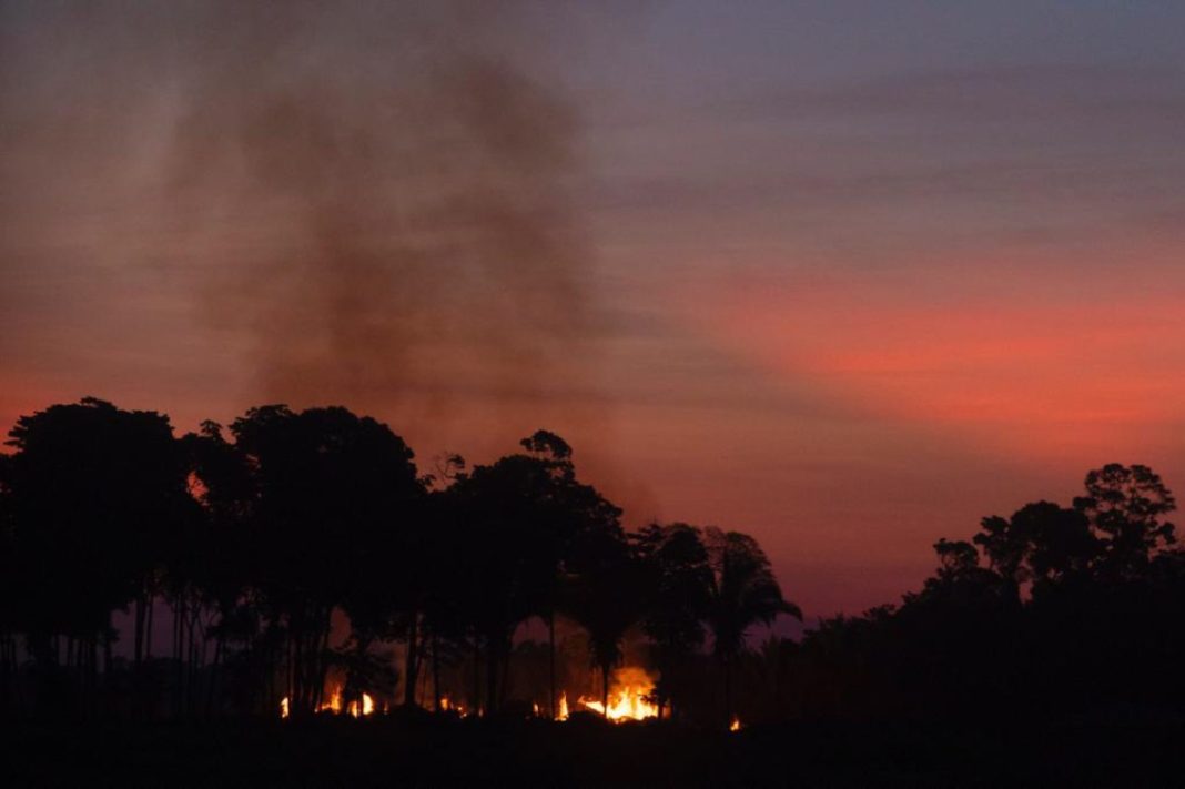 amazonas-registra-queda-de-39%-nos-focos-de-queimadas-em-outubro